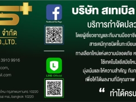 รับกำจัดปลวกและแมลง ในราคาเริ่มเพียง 3,500 บาท พร้อมโปรโมชั่น